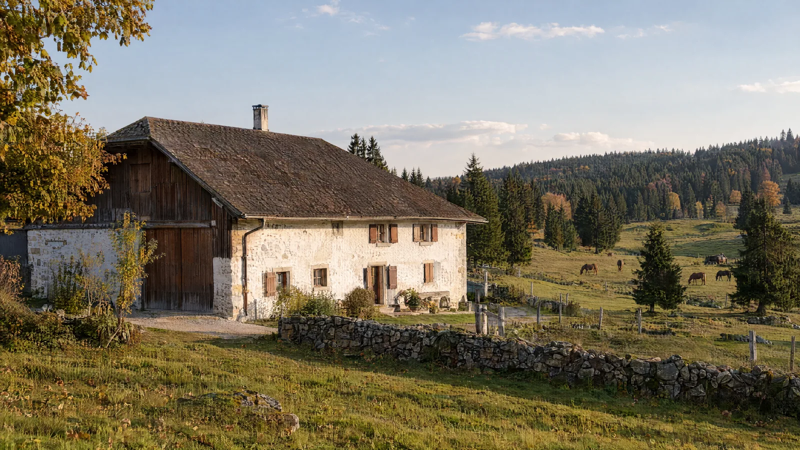 Ferme jurassienne à la façade rénovée dans les pâturages boisés